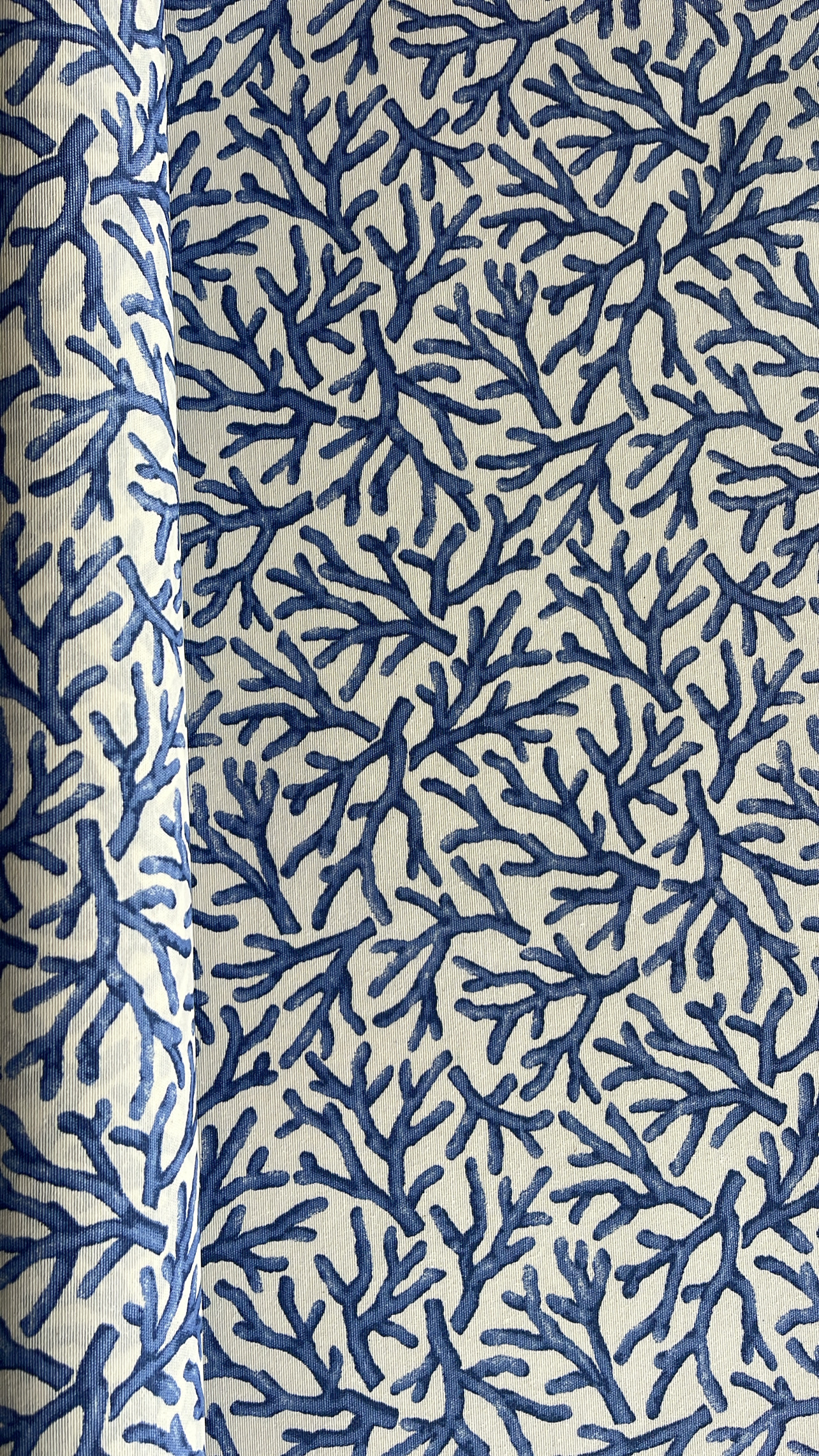 Medidas Especiales(Resinadas) - Algas Azul Fondo Blanco